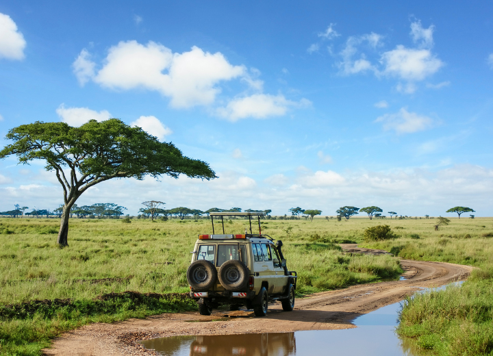 Prime Time hospitality and tourism services